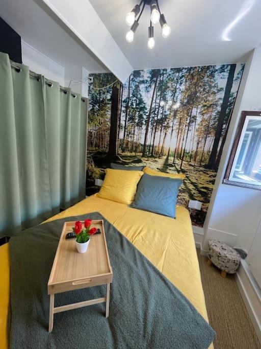 Belle Vue Appartement *
